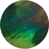 Изображение стикера Holofobia-2